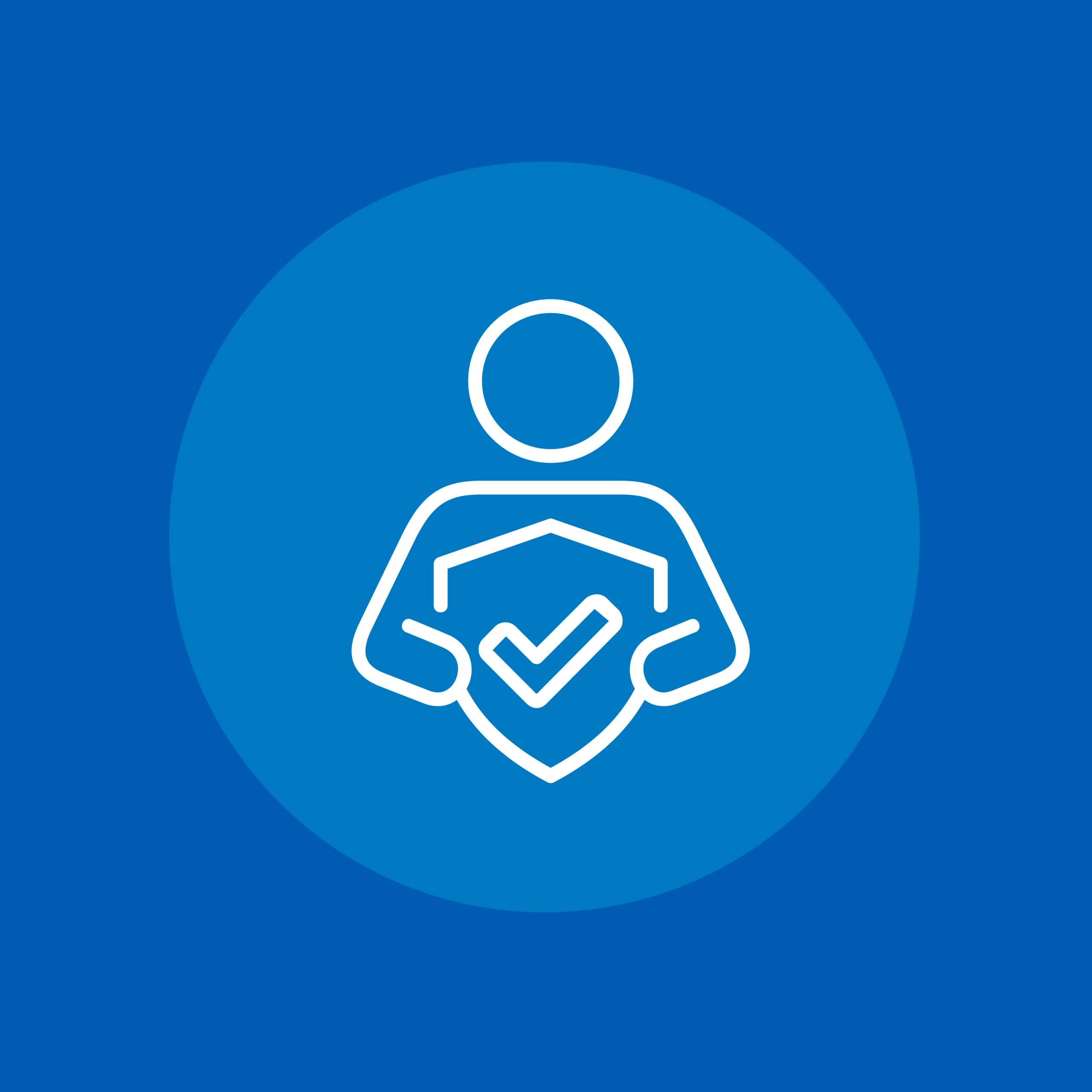 COMUNAS CON CONVENIO AL PROGRAMA DE SEGURIDAD INTEGRADA PARA NIÑOS, NIÑAS Y ADOLESCENTES (N.N.A.), PLAN 24 HORAS, RESPECTO AL TOTAL DE COMUNAS EN LA REGIÓN.