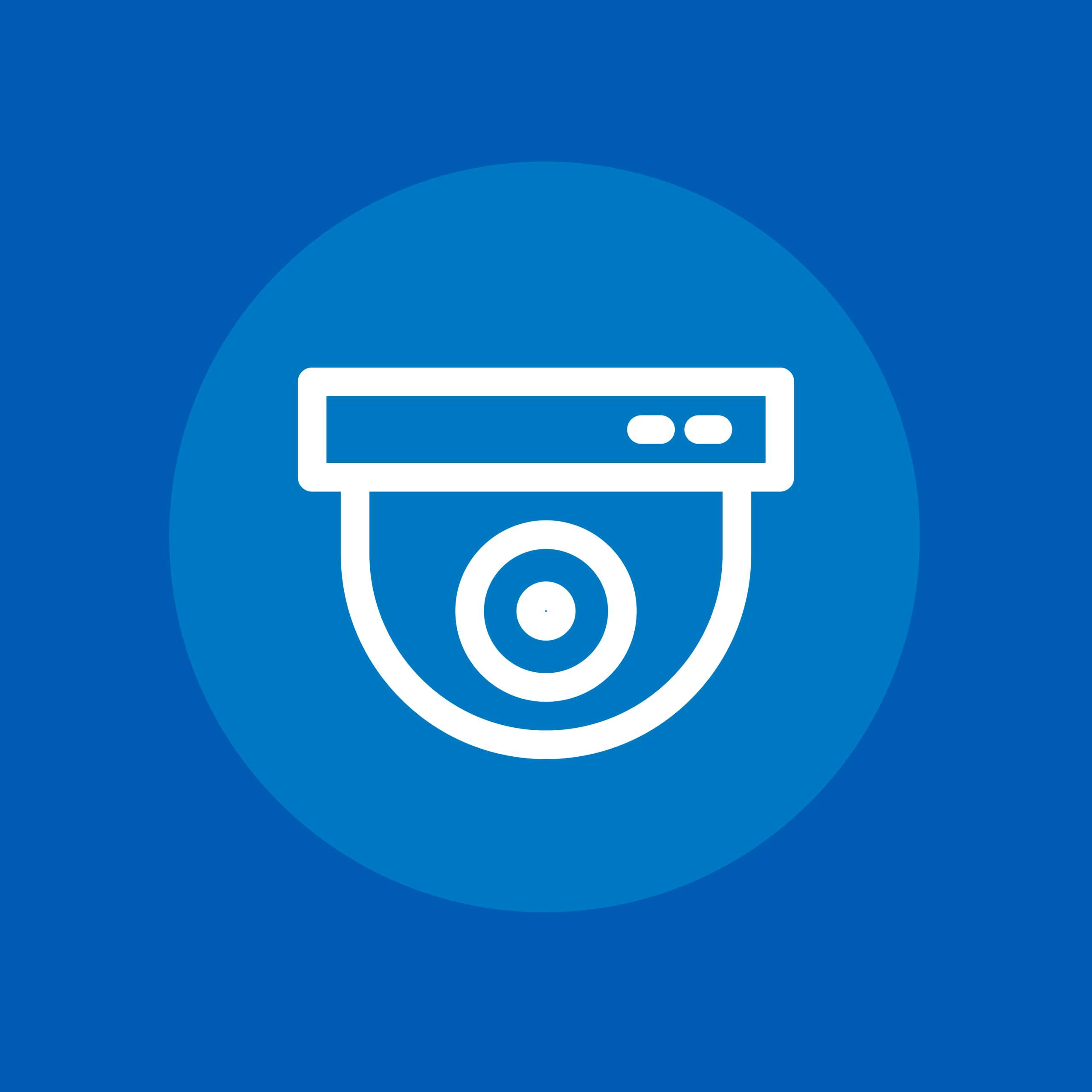 CÁMARAS DE VIGILANCIA PÚBLICA, TASA POR CADA 100.000 HABITANTES.