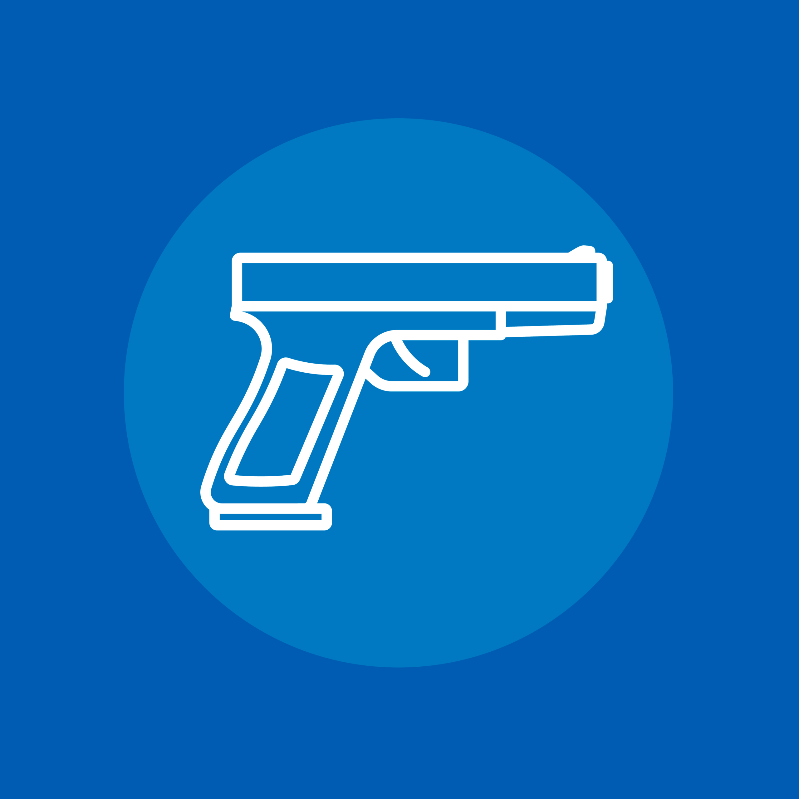 CASOS POLICIALES SEGÚN FAMILIA DE DELITOS: CONTROL DE ARMAS. LEY 17.798; LEY 21.250, TASA POR CADA 100.000 HABITANTES.